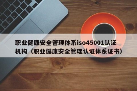 职业健康安全管理体系iso45001认证机构（职业健康安全管理认证体系证书）