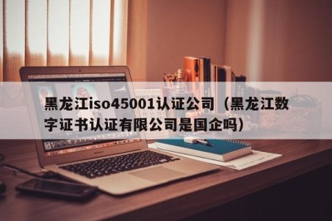 黑龙江iso45001认证公司（黑龙江数字证书认证有限公司是国企吗）