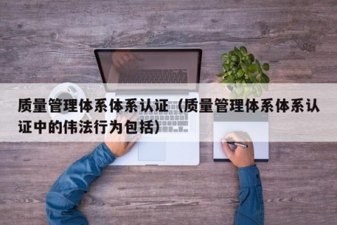 质量管理体系体系认证（质量管理体系体系认证中的伟法行为包括）