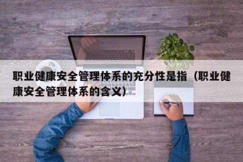 职业健康安全管理体系的充分性是指（职业健康安全管理体系的含义）