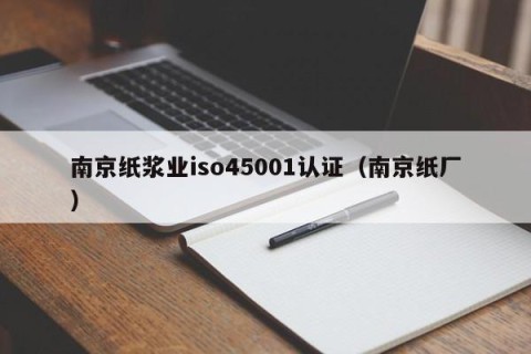 南京纸浆业iso45001认证（南京纸厂）
