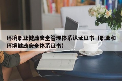 环境职业健康安全管理体系认证证书（职业和环境健康安全体系证书）