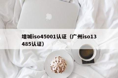 增城iso45001认证（广州iso13485认证）
