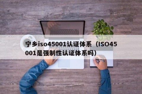 宁乡iso45001认证体系（ISO45001是强制性认证体系吗）