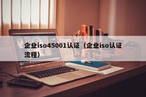 企业iso45001认证（企业iso认证流程）
