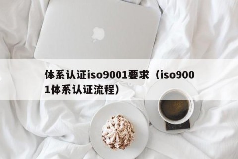 体系认证iso9001要求（iso9001体系认证流程）