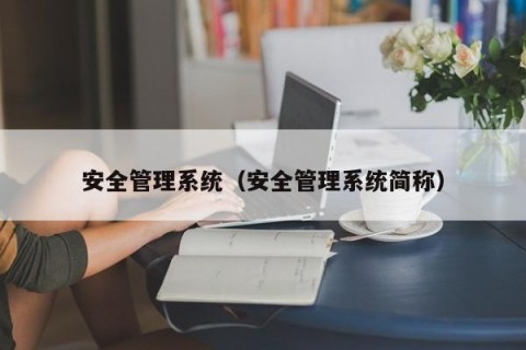 安全管理系统（安全管理系统简称）