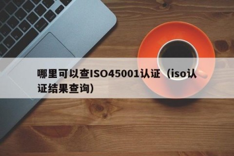 哪里可以查ISO45001认证（iso认证结果查询）