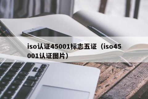iso认证45001标志五证（iso45001认证图片）