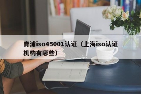 青浦iso45001认证（上海iso认证机构有哪些）
