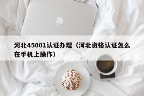 河北45001认证办理（河北资格认证怎么在手机上操作）