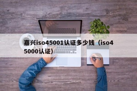 嘉兴iso45001认证多少钱（iso45000认证）