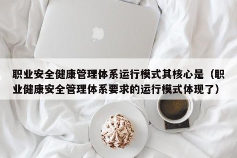 职业安全健康管理体系运行模式其核心是（职业健康安全管理体系要求的运行模式体现了）