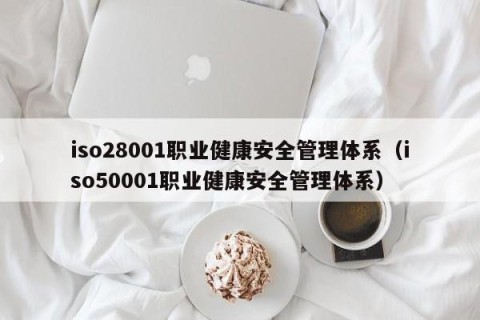 iso28001职业健康安全管理体系（iso50001职业健康安全管理体系）