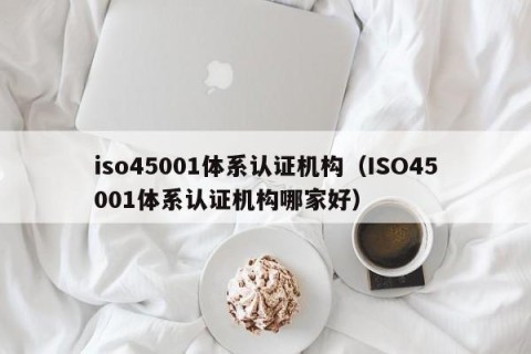 iso45001体系认证机构（ISO45001体系认证机构哪家好）