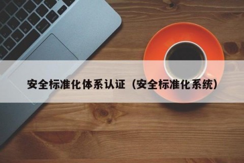 安全标准化体系认证（安全标准化系统）