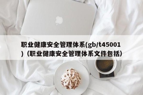 职业健康安全管理体系(gb/t45001)（职业健康安全管理体系文件包括）