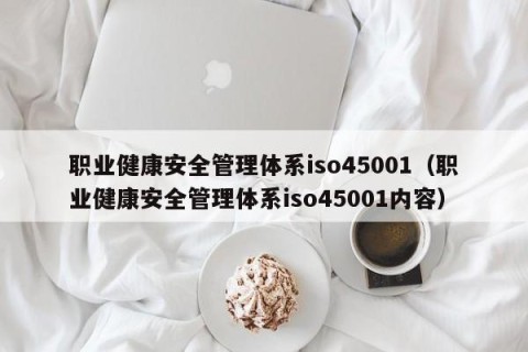 职业健康安全管理体系iso45001（职业健康安全管理体系iso45001内容）