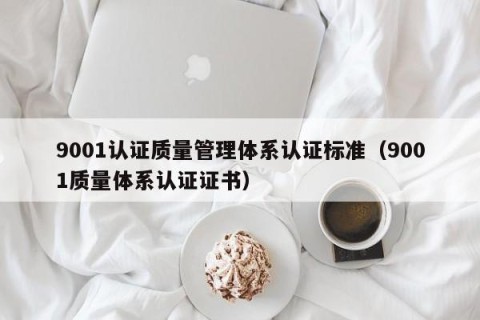 9001认证质量管理体系认证标准（9001质量体系认证证书）