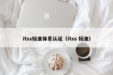 itss标准体系认证（itss 标准）