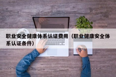 职业安全健康体系认证费用（职业健康安全体系认证条件）