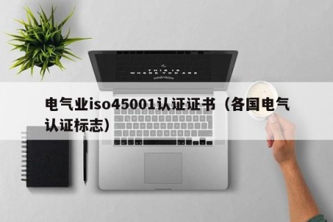 电气业iso45001认证证书（各国电气认证标志）