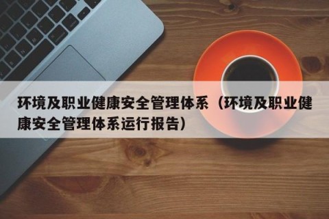 环境及职业健康安全管理体系（环境及职业健康安全管理体系运行报告）