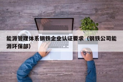 能源管理体系钢铁企业认证要求（钢铁公司能源环保部）