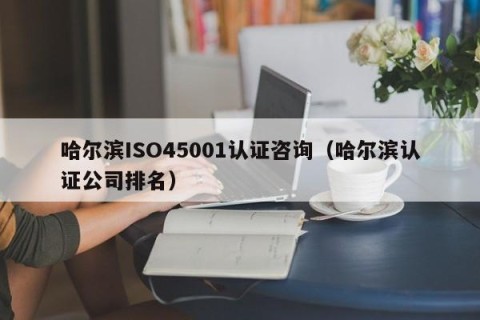 哈尔滨ISO45001认证咨询（哈尔滨认证公司排名）