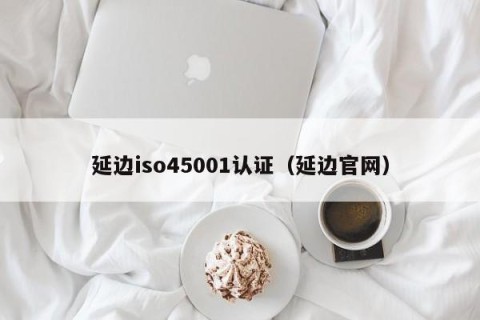 延边iso45001认证（延边官网）