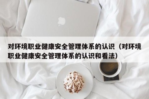 对环境职业健康安全管理体系的认识（对环境职业健康安全管理体系的认识和看法）
