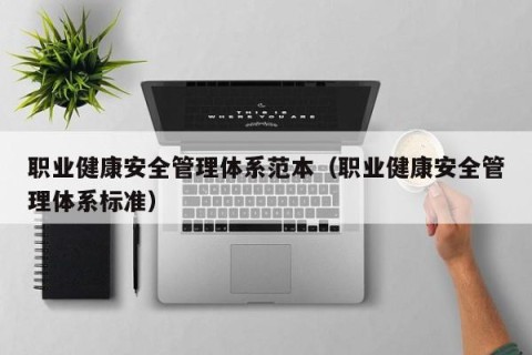 职业健康安全管理体系范本（职业健康安全管理体系标准）