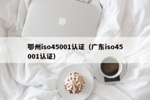 鄂州iso45001认证（广东iso45001认证）