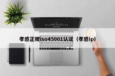 孝感正规iso45001认证（孝感ip）